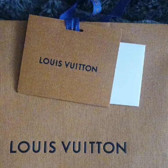 Louis Vuitton Bold Orange Gift Bag with Blue Accent - Picture 6 of 6